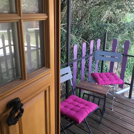 Schwanenvilla 住宿加早餐酒店 *