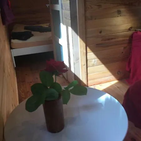 住宿加早餐酒店 Schwanenvilla